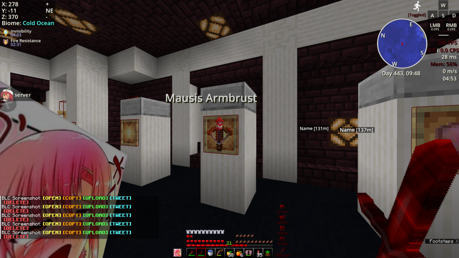winter ambrust